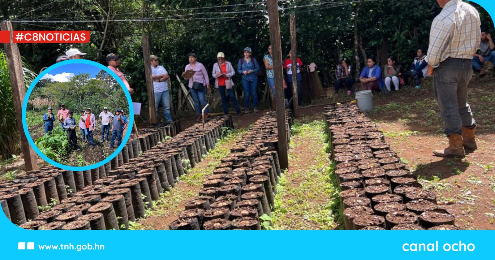 Personal del INA se capacitan en metodologías de Escuelas de Campo