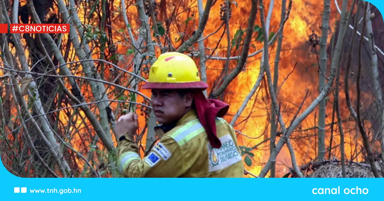 Bolivia controla al menos el 90 por ciento de los incendios en Santa Cruz