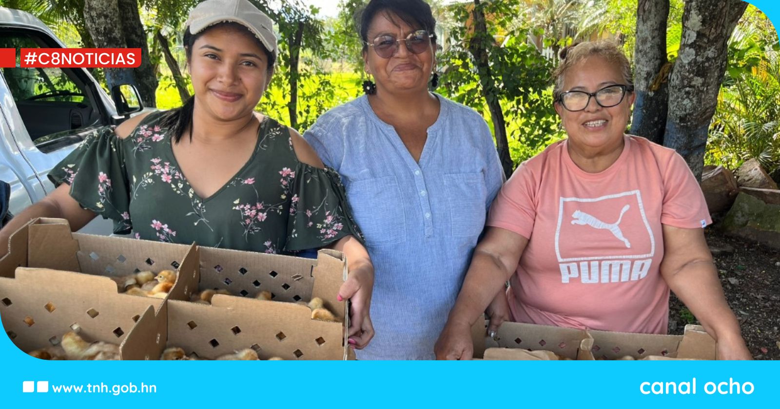 Entrega de aves ponedoras fortalece la seguridad alimentaria y la economía en familias rurales