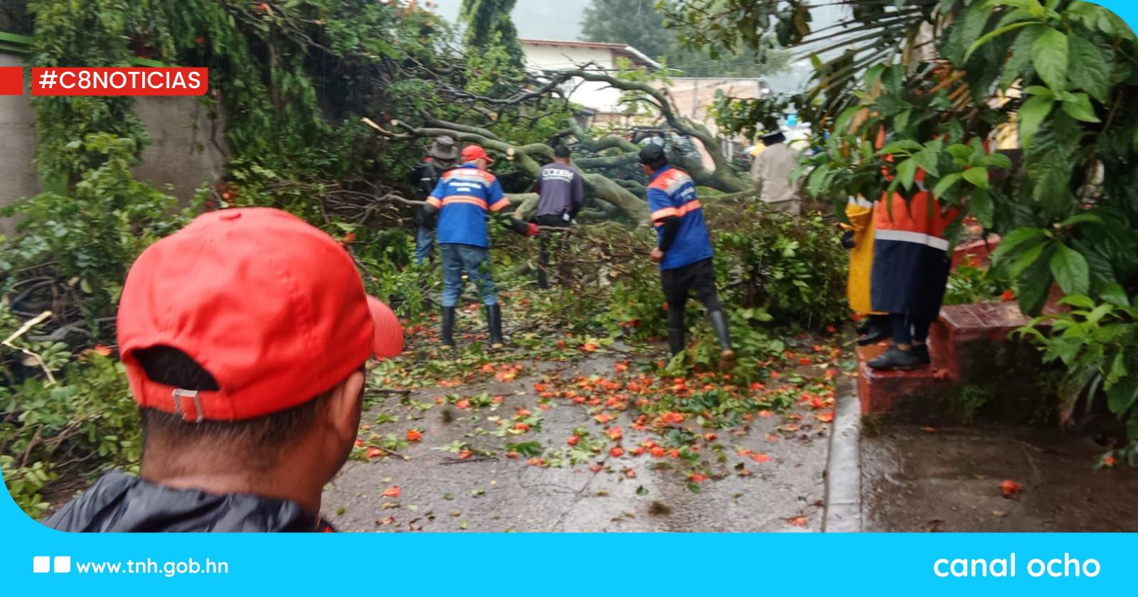 Equipos de respuesta de la AMDC atienden incidencias en la capital por tormenta tropical Sara