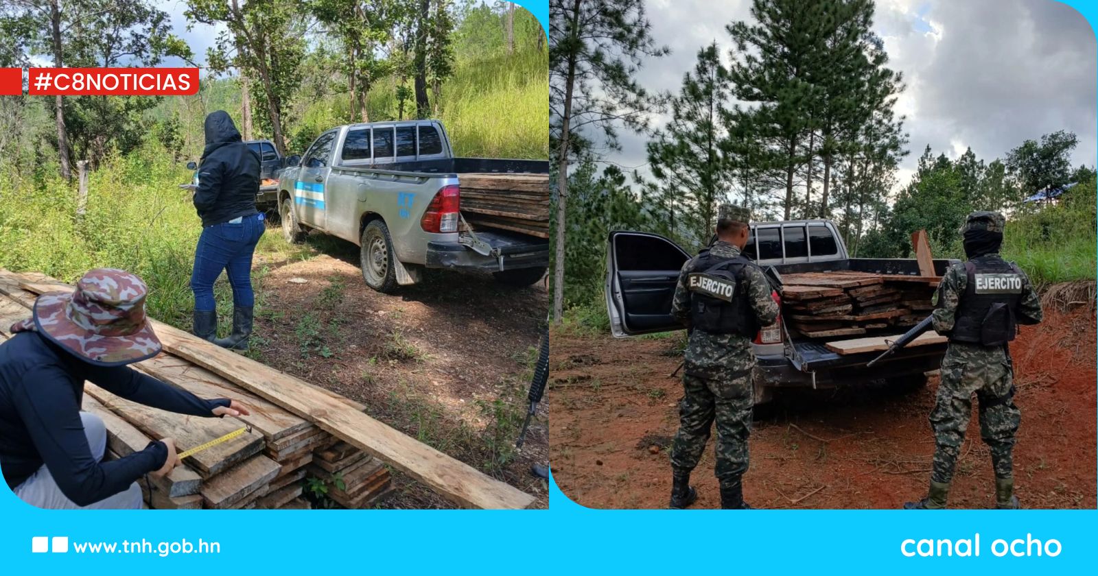 Decomisan madera aserrada en Olancho