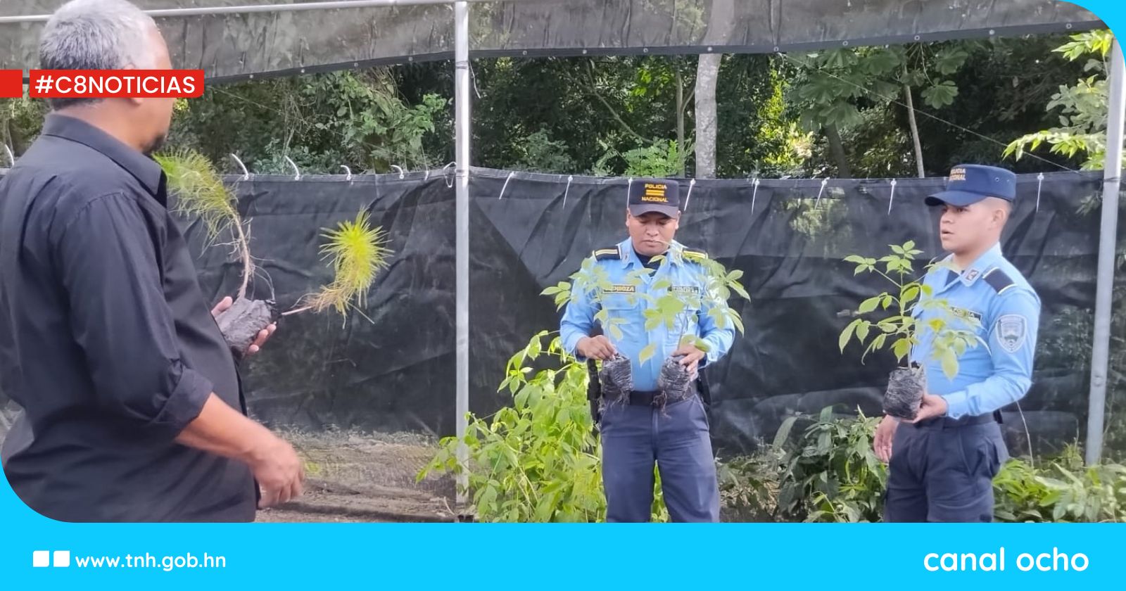 Policía Nacional impulsa reforestación en Villa de San Francisco