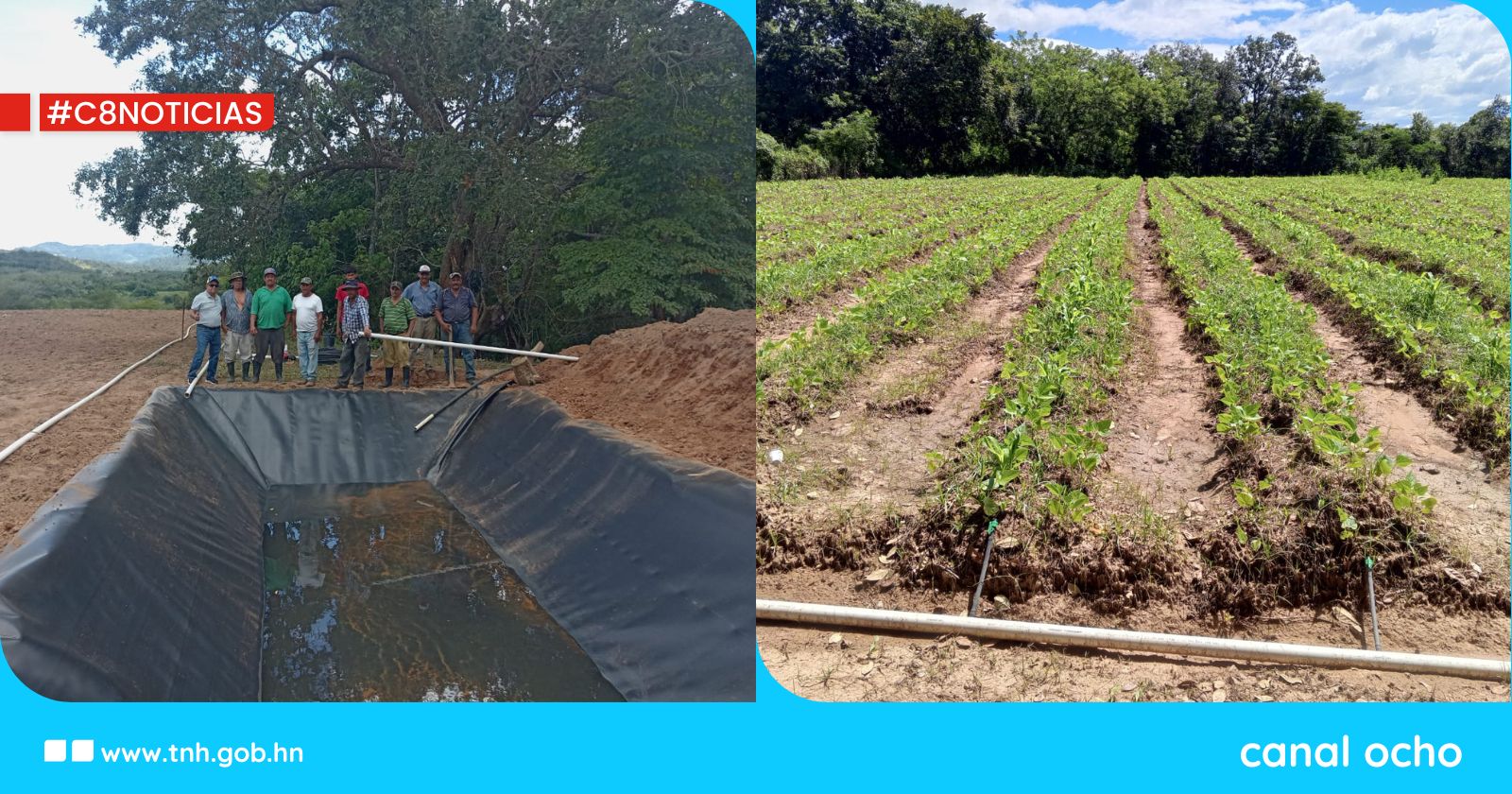 INA y Pronaders benefician a empresa campesina con sistema de riego