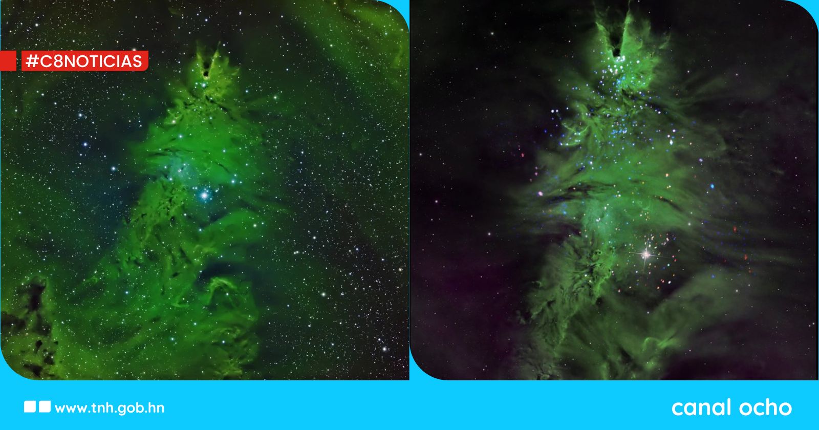 La NASA revela impresionante cúmulo estelar con forma de árbol de Navidad: NGC 2264