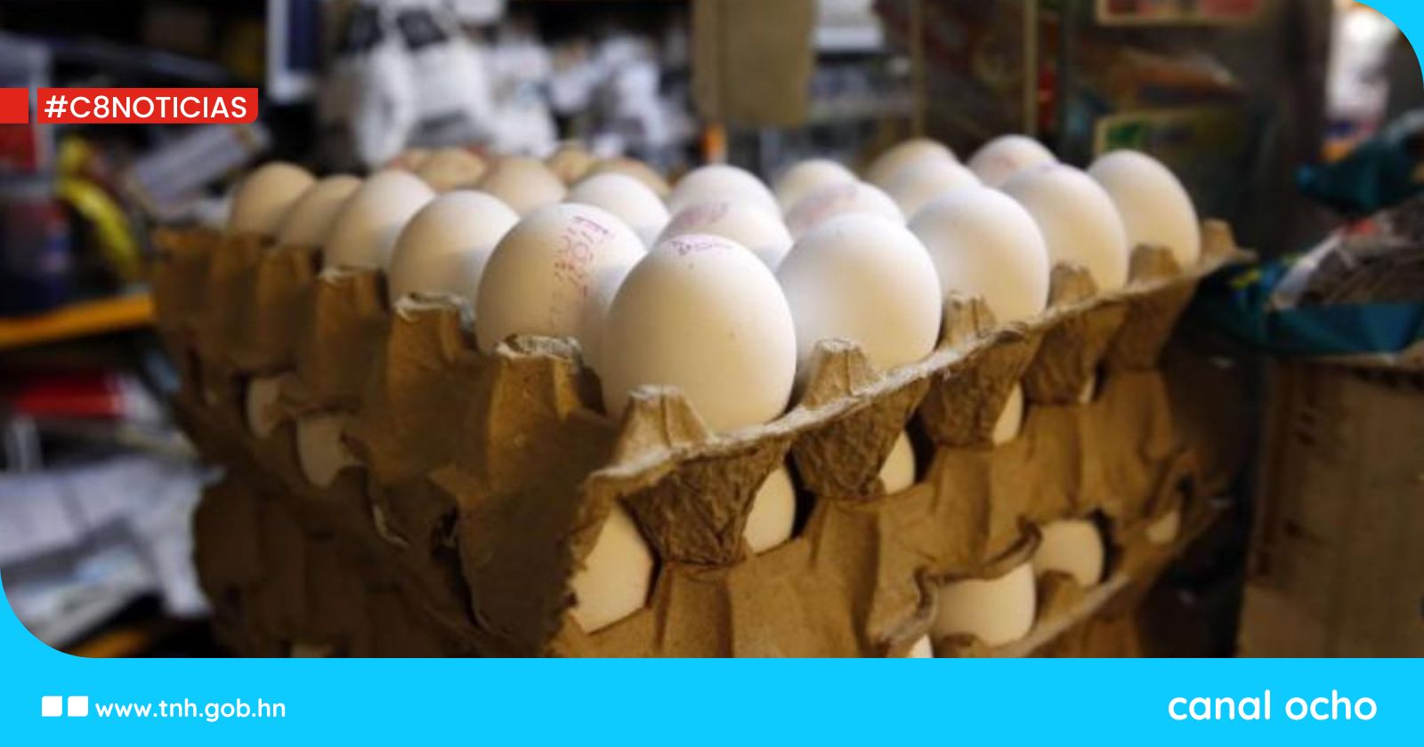 Precio del cartón de huevos cierra el año con estabilidad