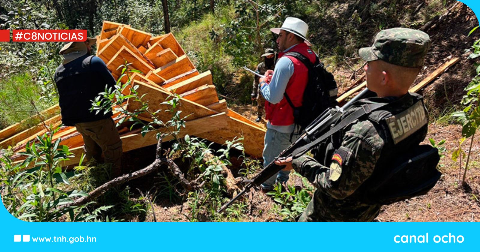 Incautan madera y carbón en operativos de protección ambiental