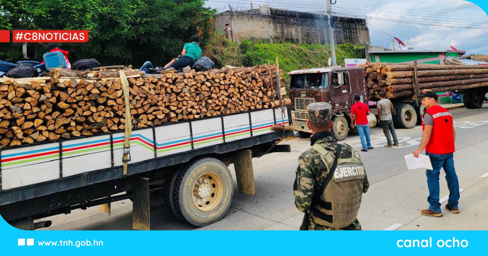 ICF supervisa veda forestal de la caoba por 30 años con permanentes auditorías a industrias