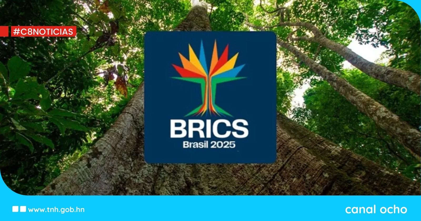 Brasil asume la presidencia de los BRICS para 2025