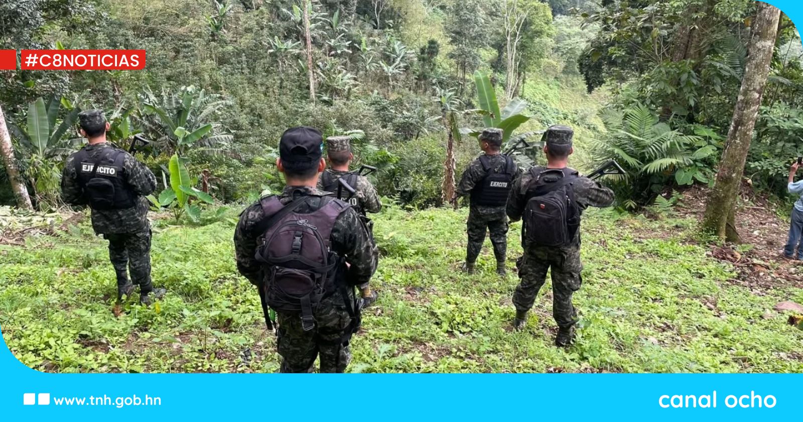 Intensifican acciones de protección de los recursos naturales en Pico Pijol