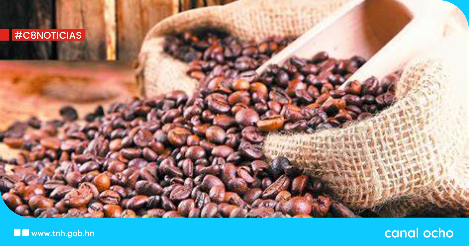 Honduras exportará 527 contenedores con 10,000 toneladas de café a China