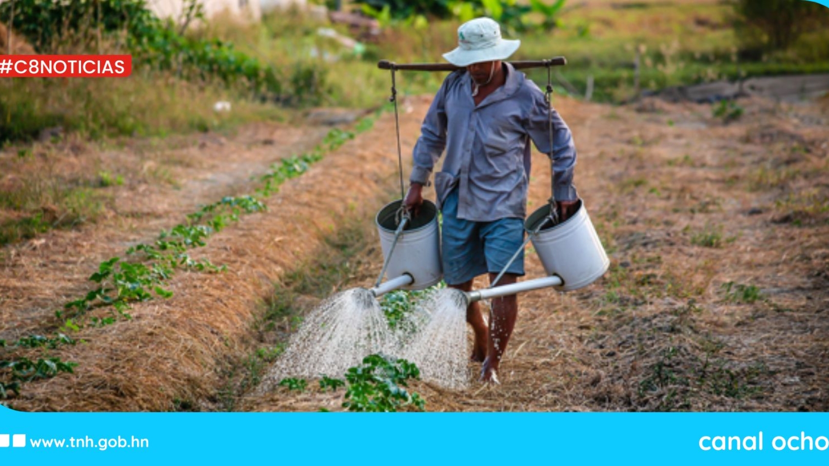 censo agropecuario