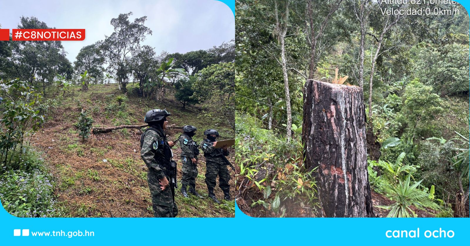 ICF y FF. AA. inspeccionan la laguna El Paraíso por tala ilegal