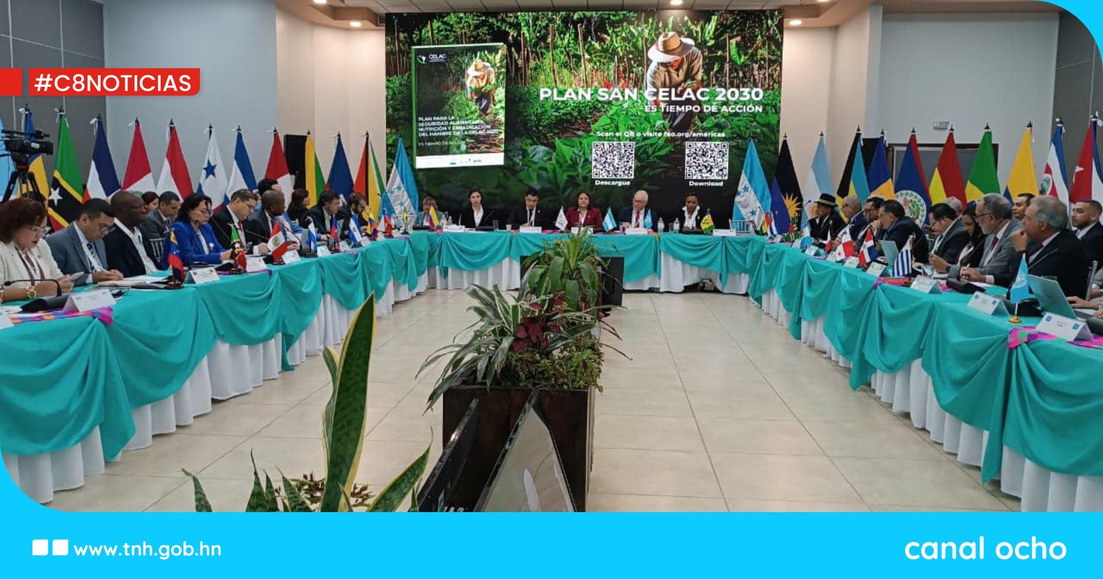 Ministros de agricultura presentarán plan SAN-CELAC