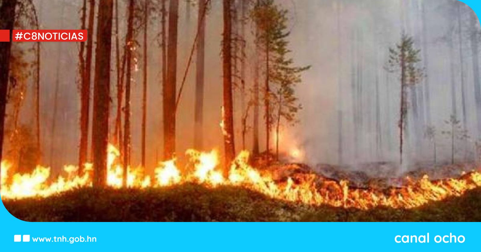 Honduras registra 33 incendios forestales antes del verano