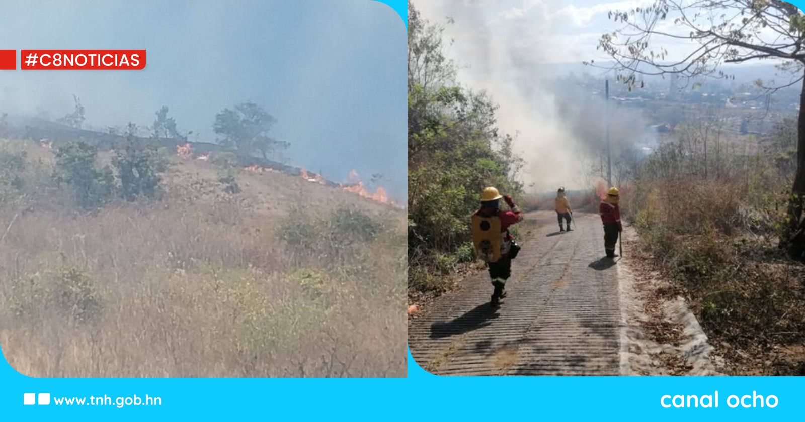 ICF y AMDC atiende incendio forestal en el Cerro El Brujo, Anillo Periférico