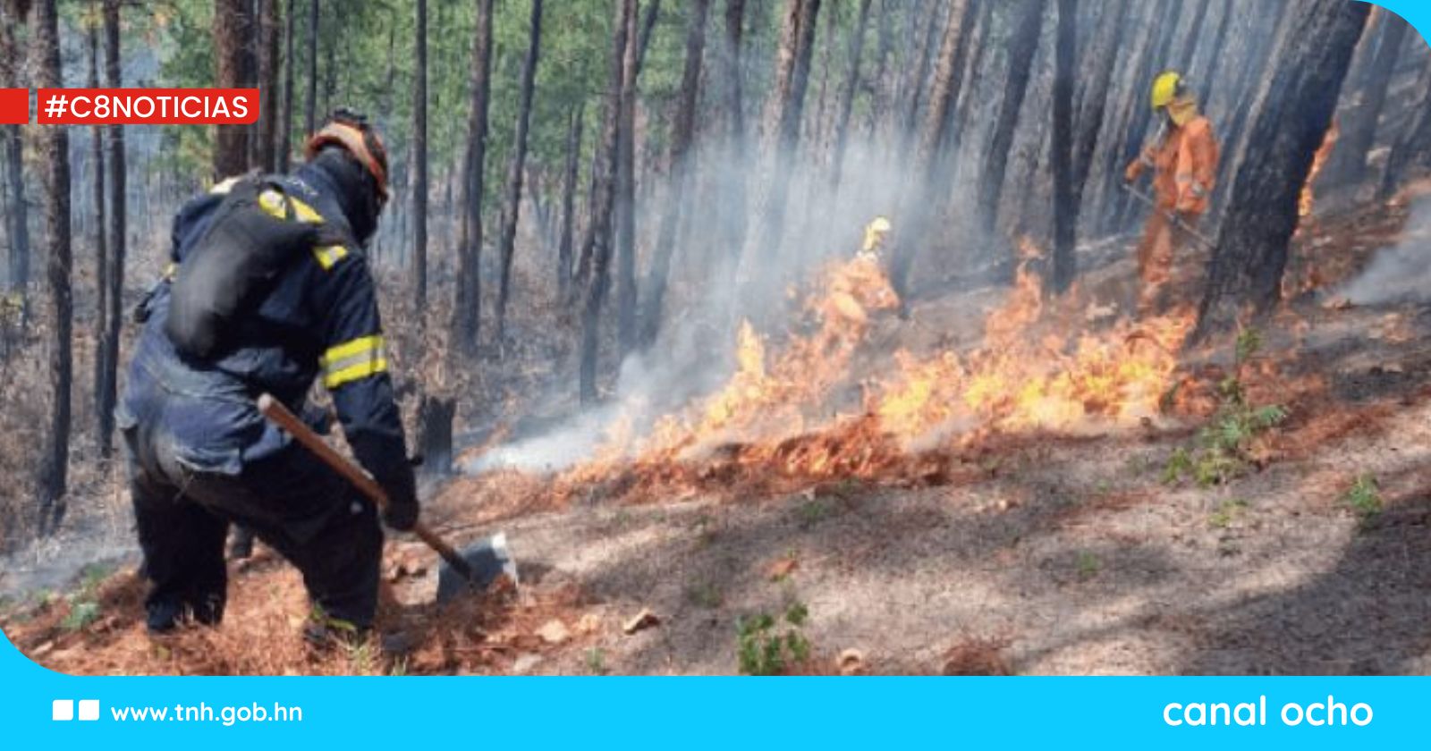 Luis Soliz: hasta la fecha Honduras registra 40 incendios forestales