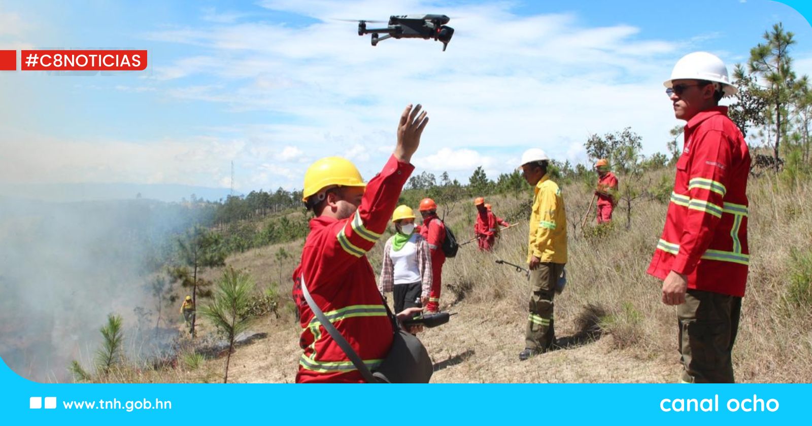 ICF intensifica supervisión a planes de manejo forestales para prevenir incendios