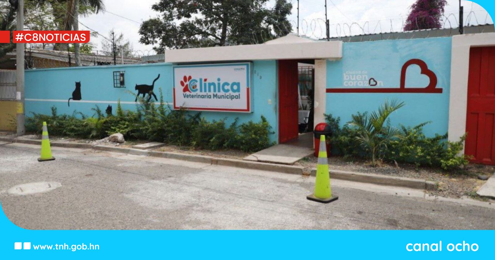 Clínica veterinaria municipal no atenderá este 10 de marzo