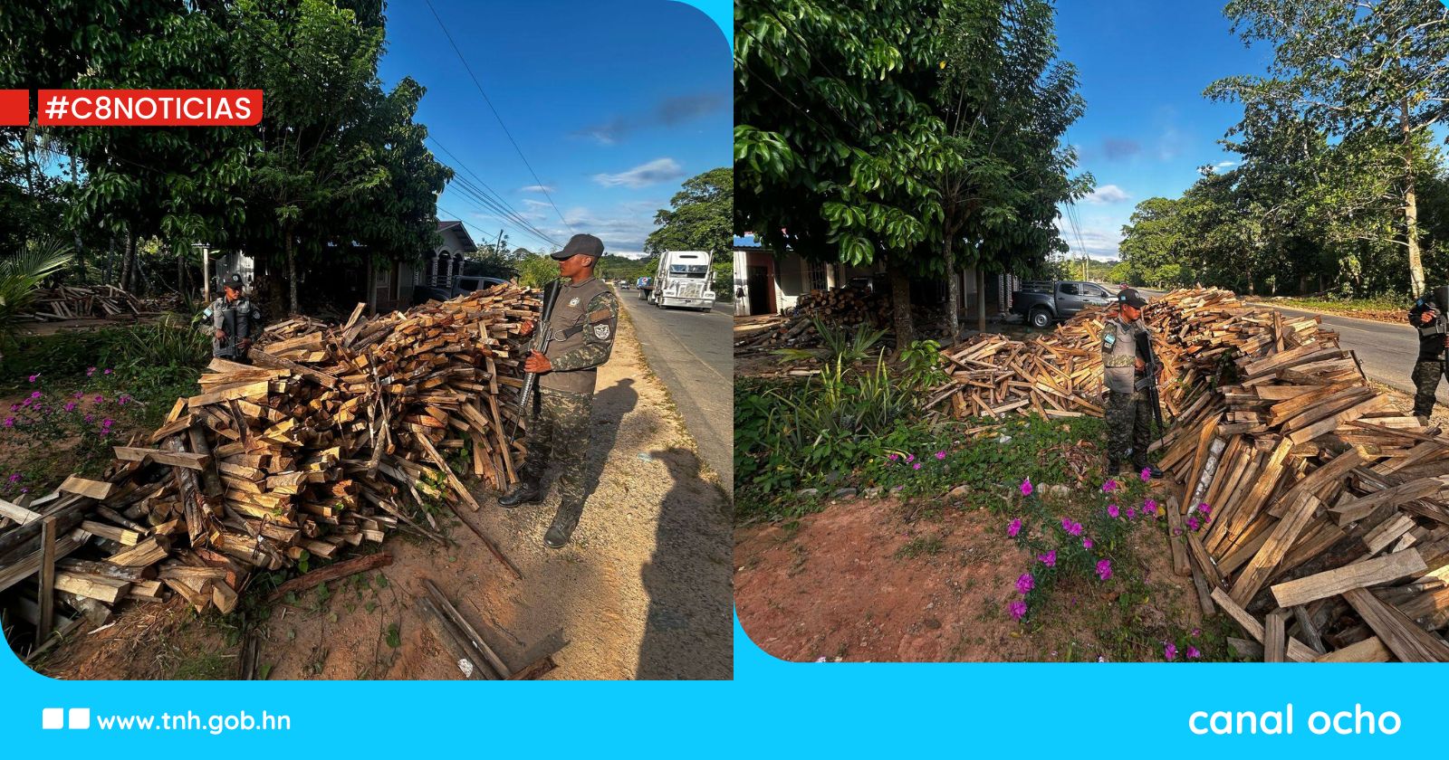 Fuerzas Armadas decomisan madera en Esparta, Atlántida