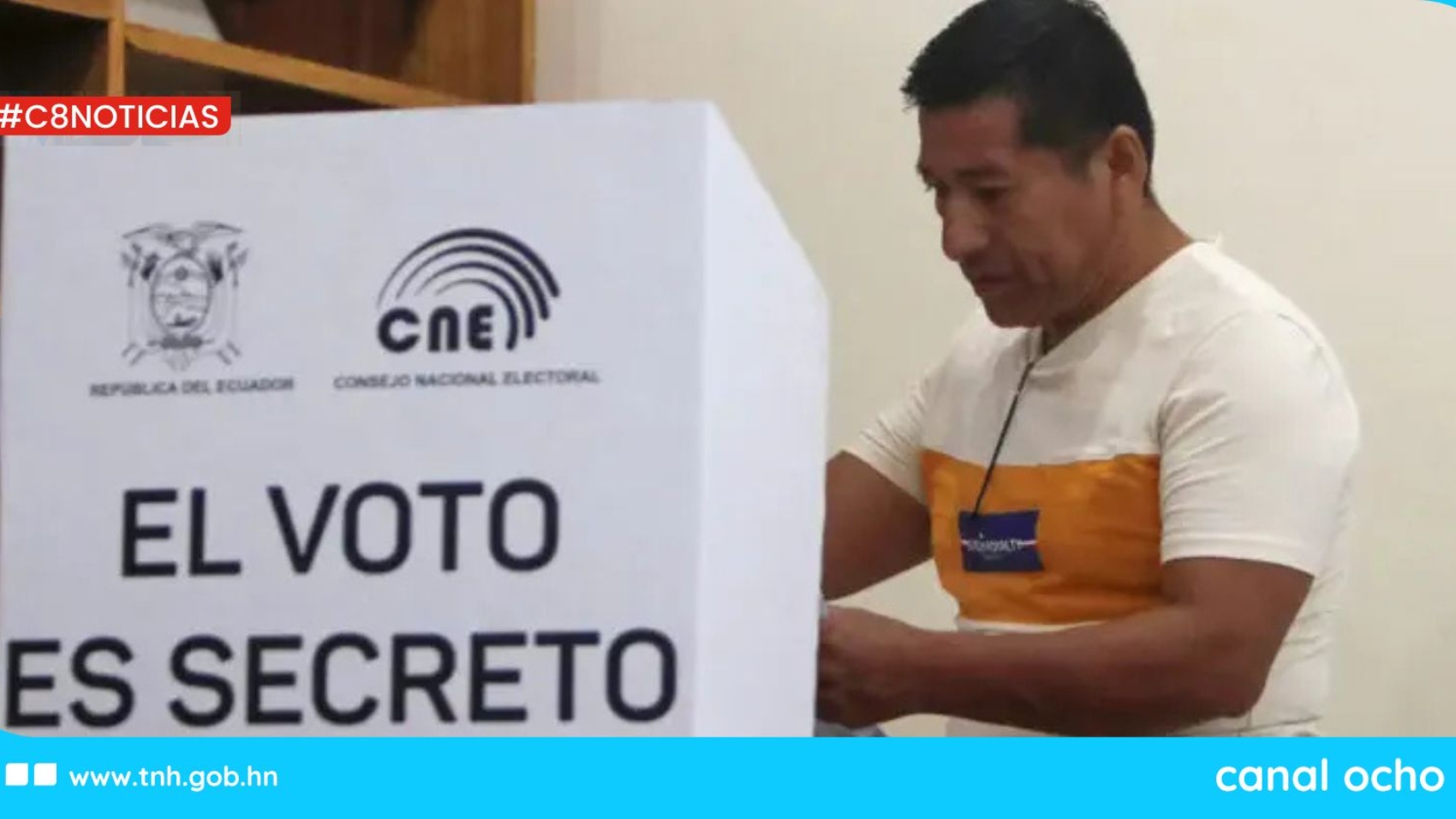 CANAL 8 WEB (1)