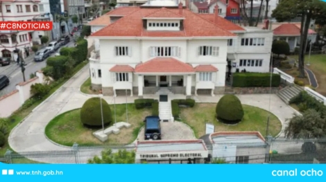 CANAL 8 WEB (1)
