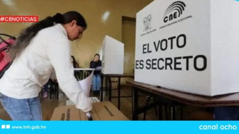 CANAL 8 WEB
