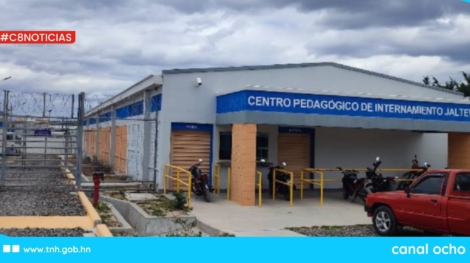 CANAL 8 WEB