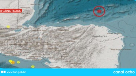 CANAL 8 WEB