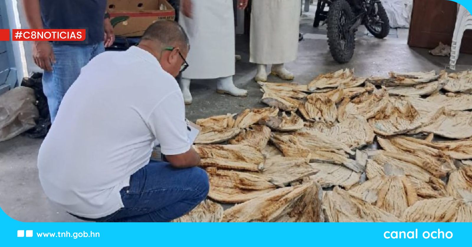 Decomisan pescado en mal estado durante la Operación Kanan II en La Ceiba