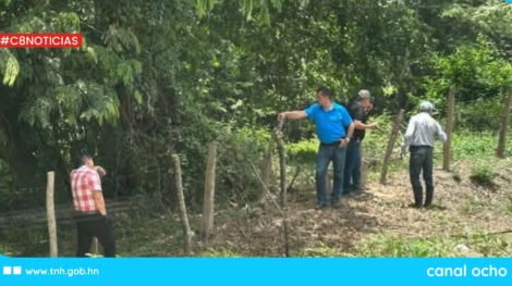 CANAL 8 WEB (4)