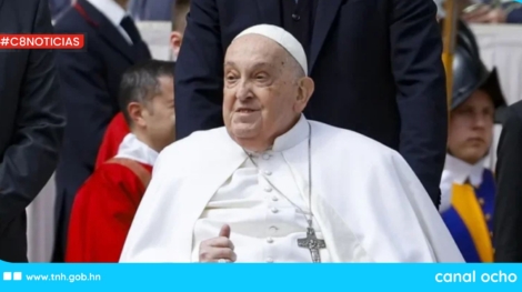 CANAL 8 WEB