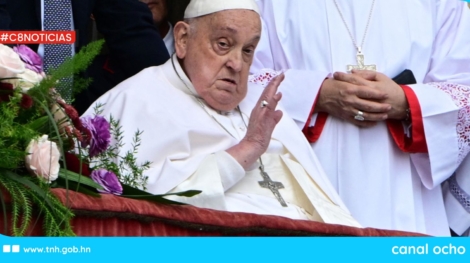 CANAL 8 WEB