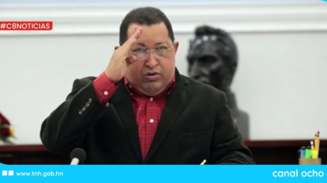 CANAL 8 WEB