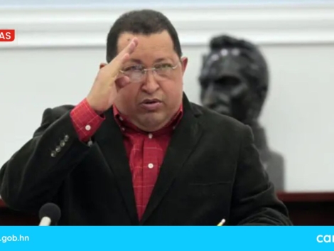 CANAL 8 WEB