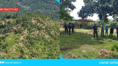 Cero Deforestación