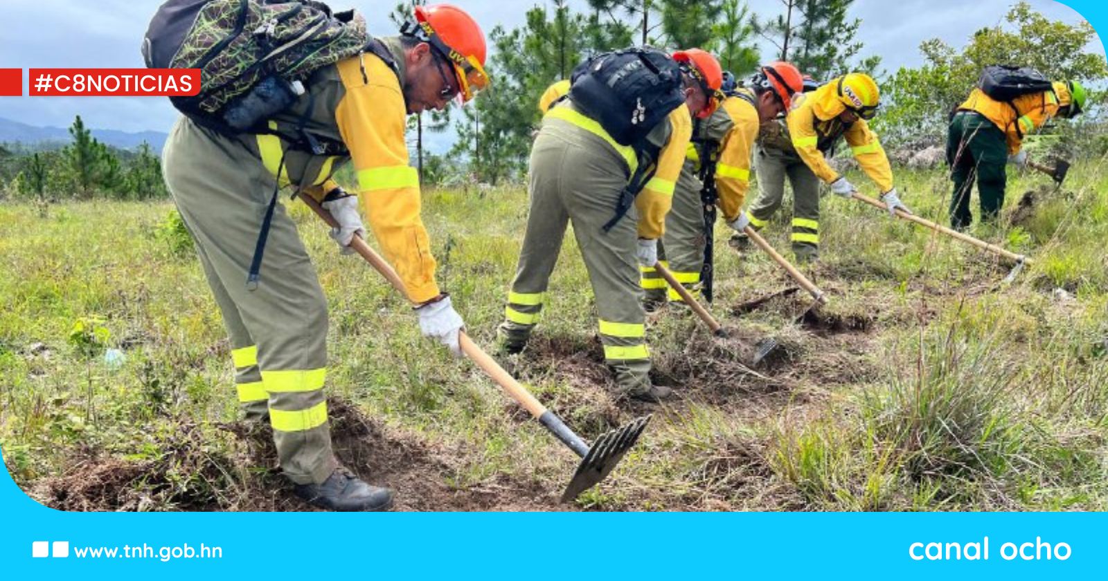 Honduras registra la cifra más baja de incendios en una década gracias a acciones de conservación