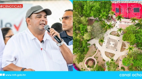 CANAL 8 WEB (1)