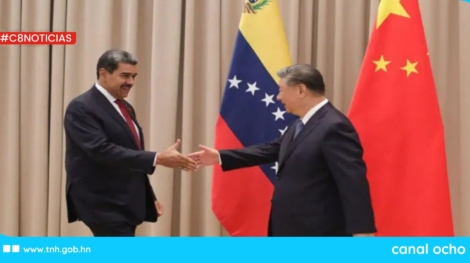 CANAL 8 WEB (1)