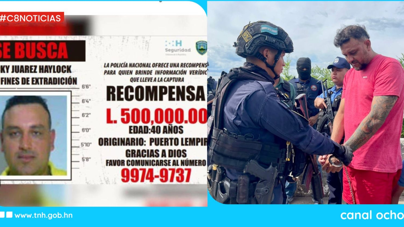 CANAL 8 WEB (1)