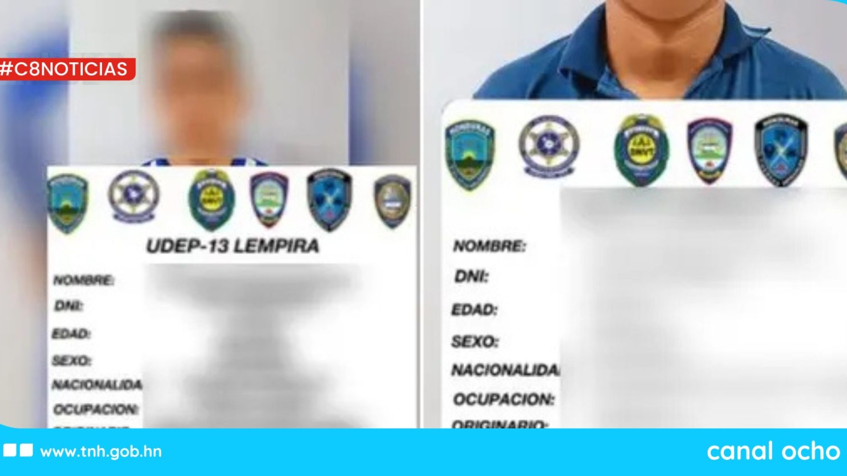 CANAL 8 WEB (1)