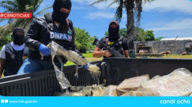 CANAL 8 WEB (1)