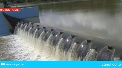 CANAL 8 WEB (1)