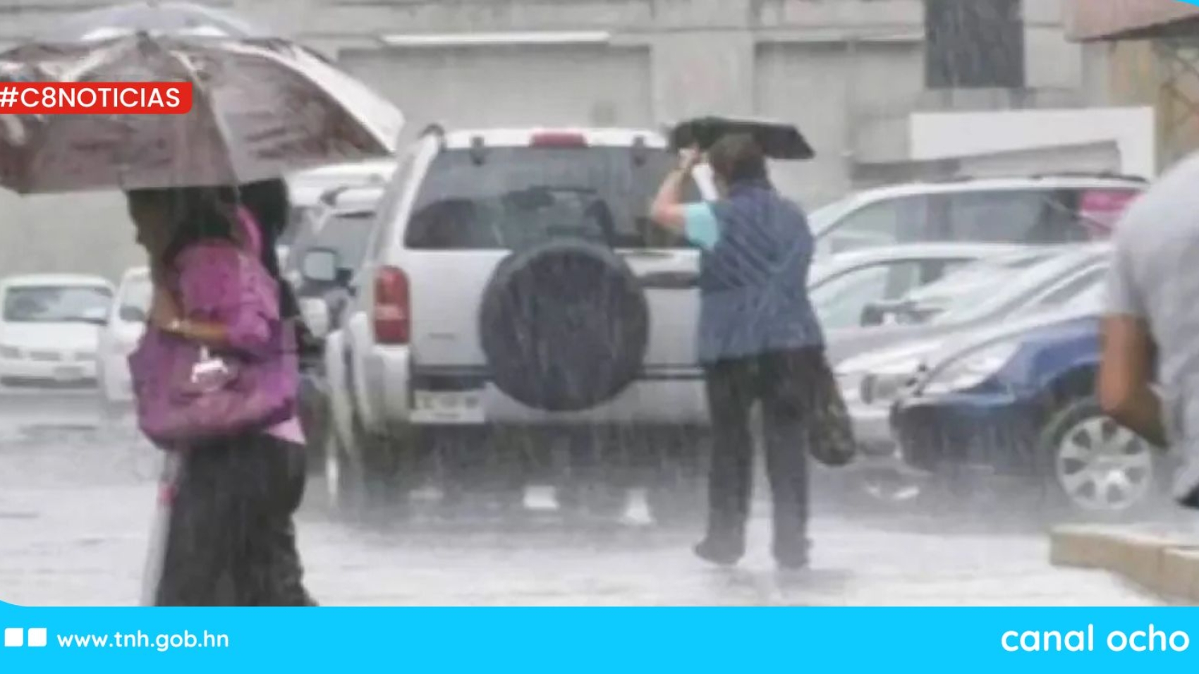 CANAL 8 WEB