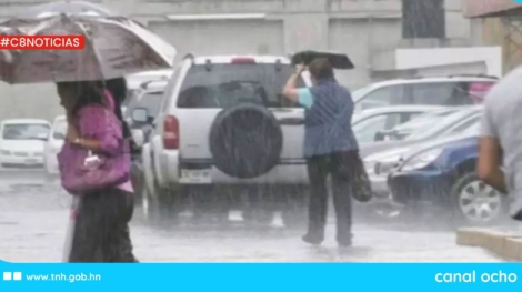 CANAL 8 WEB