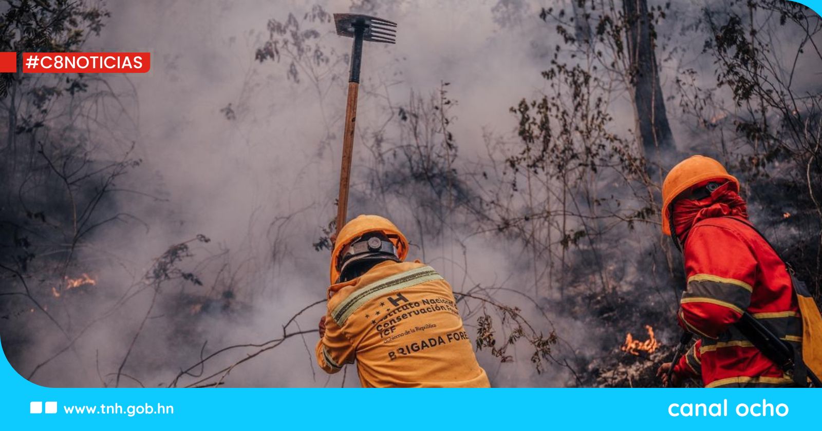 Gobierno registra 150 municipios de Honduras libres de incendios forestales
