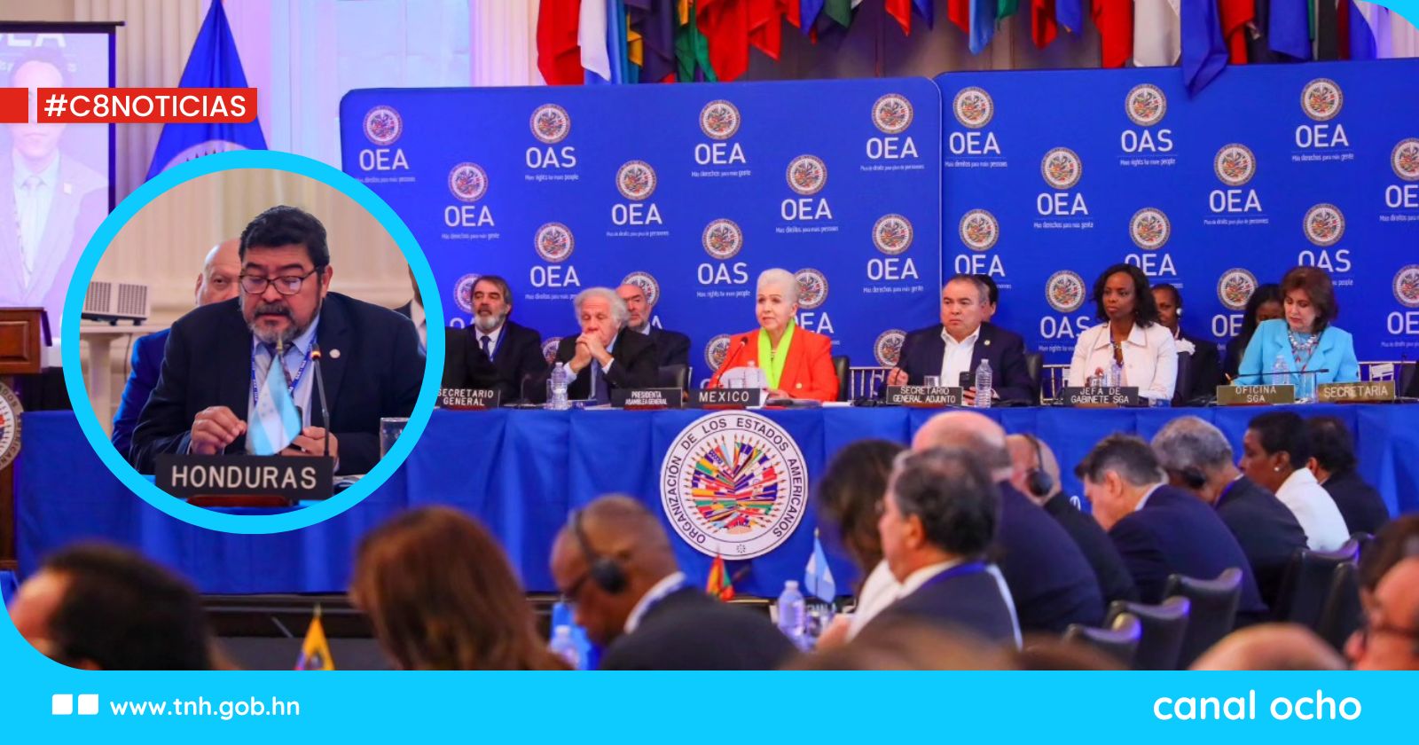 Honduras participa en la elección de la Secretaría General Adjunta de la OEA para el período 2025–2030
