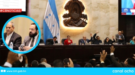 CANAL 8 WEB