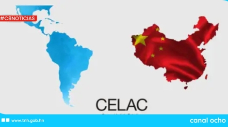 CANAL 8 WEB (2)