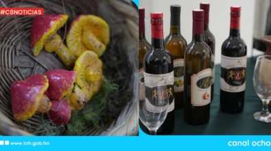 CANAL 8 WEB (2)