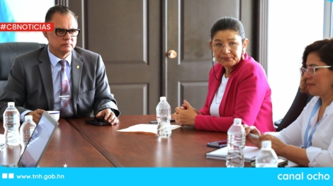 CANAL 8 WEB (2)